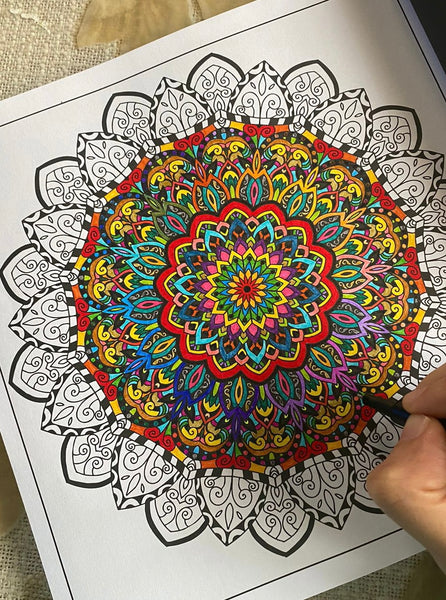 50 Magnifiques Mandalas